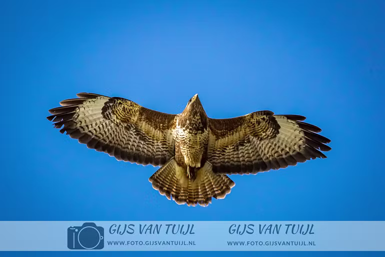 2020_04_30 Uiterwaard Gameren